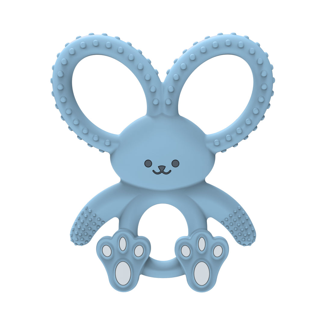 Dr Brown's Bunny Long Limbed Silicone Teether, Blue, CPKG (3m+), TE021-INTL